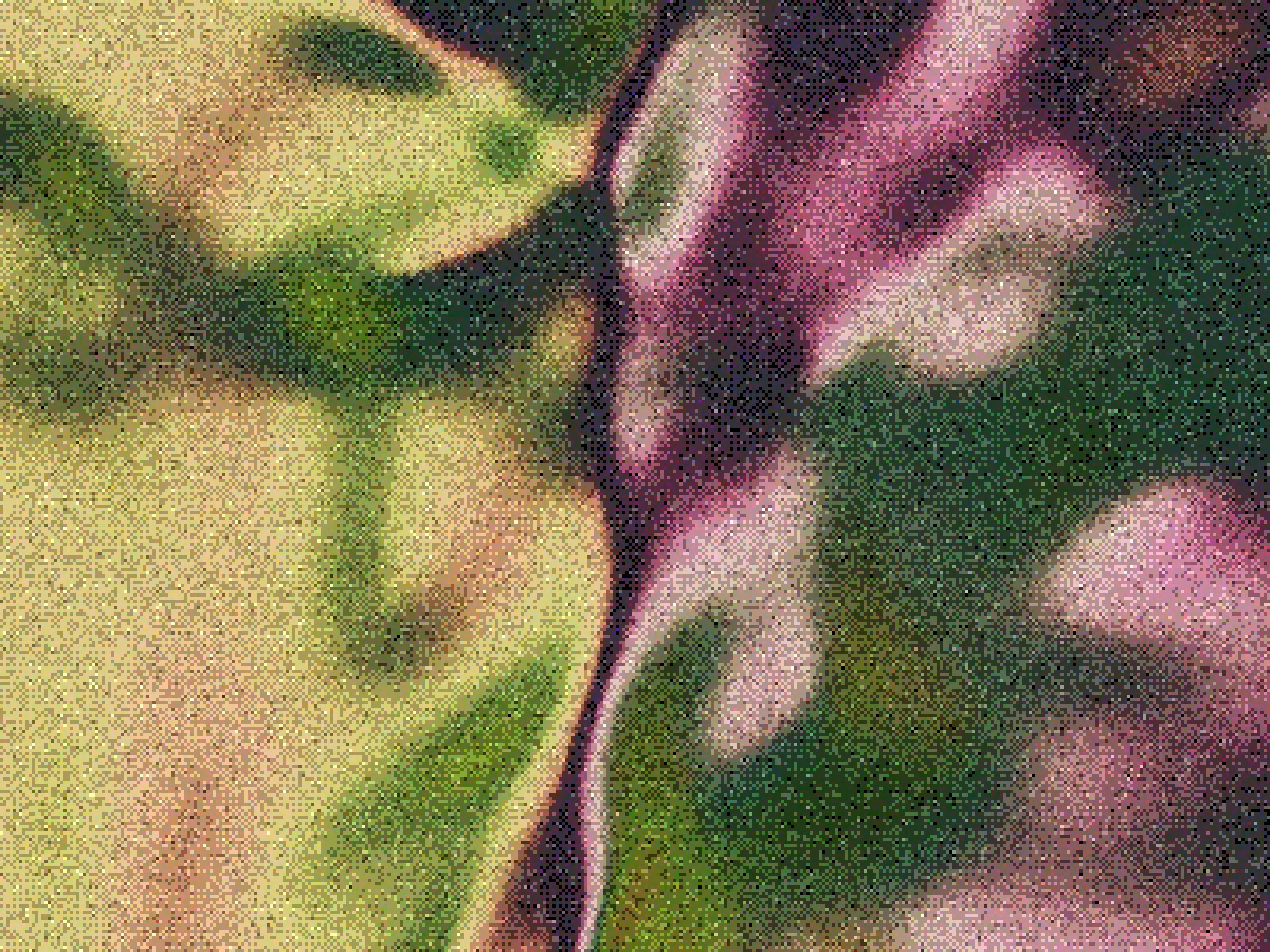 Abstract dithered artwork in green and pink tones